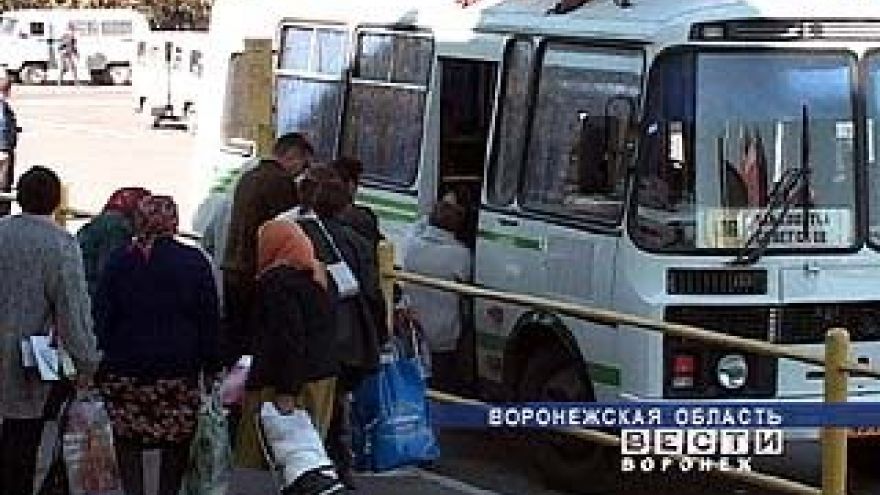 Растут доходы пассажирского автотранспорта