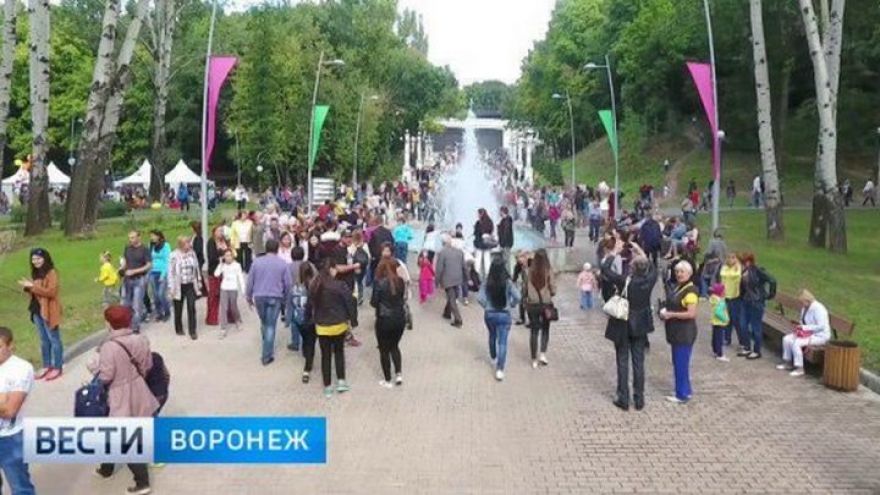Мэрия Воронежа получила 150 предложений по реконструкции Центрального парка