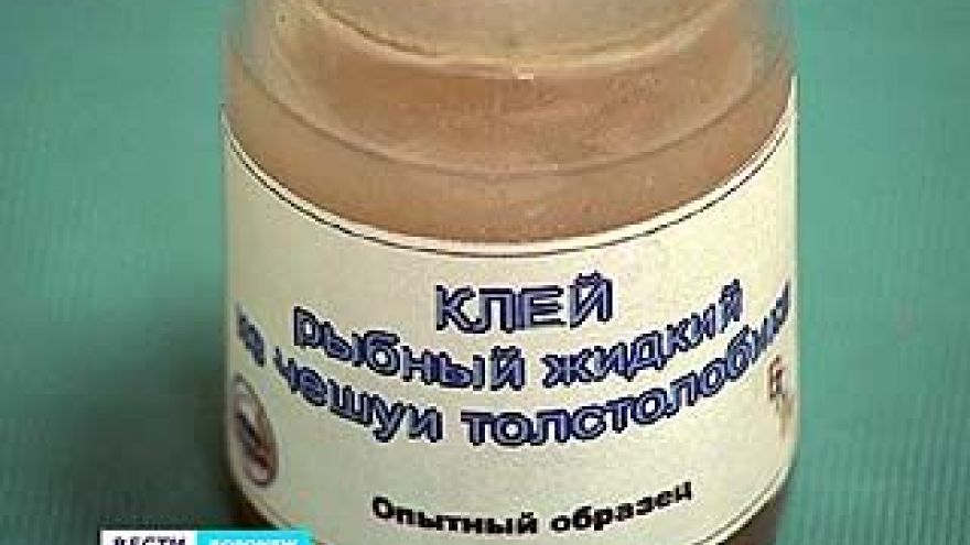Воронежские технологи представили свои "рыбные" изобретения