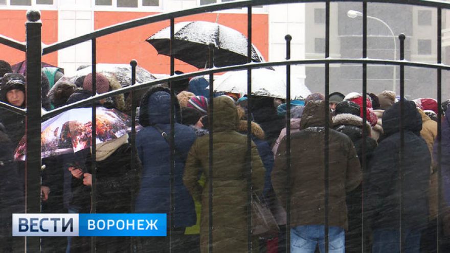 Глава управления образования Воронежа: «Списки ночующих у школы родителей бессмысленны»