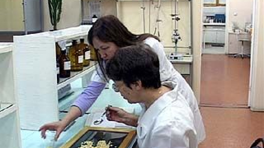 Кедровые орешки могут быть опасны для здоровья