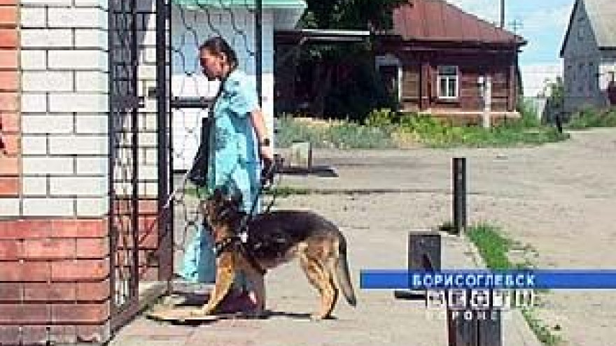 Собака-поводырь есть только у одного инвалида Воронежской области
