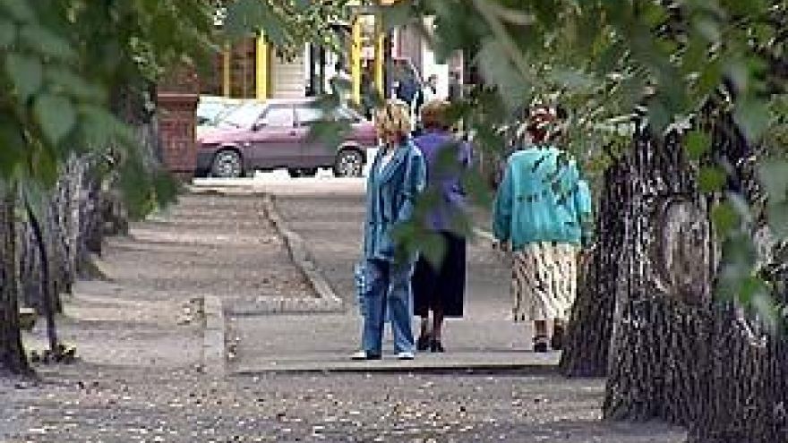 Воронеж на пороге большого озеленения