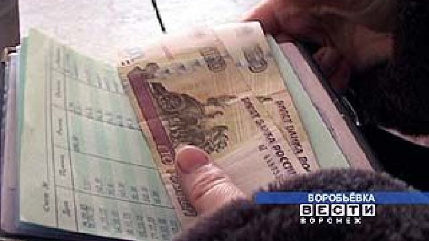 В Воронежской области началось погашение задолженности по детским пособиям