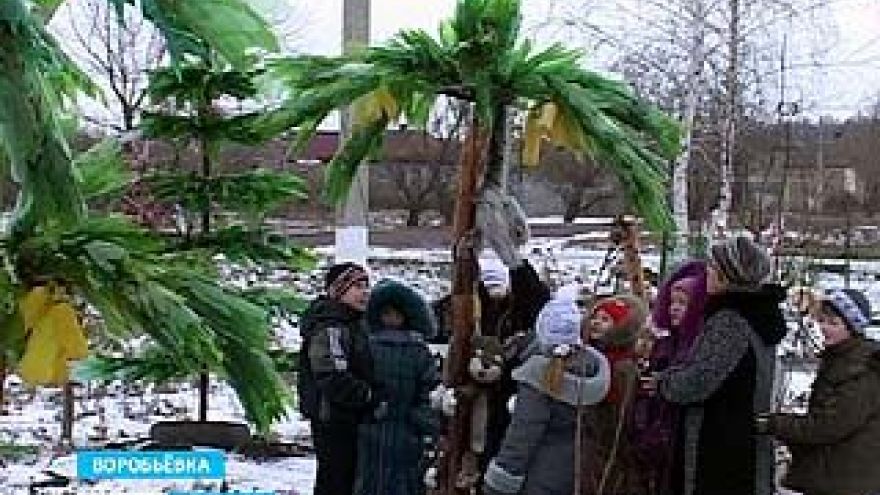 Жительница села Воробьёвка создала во дворе своего дома детский городок