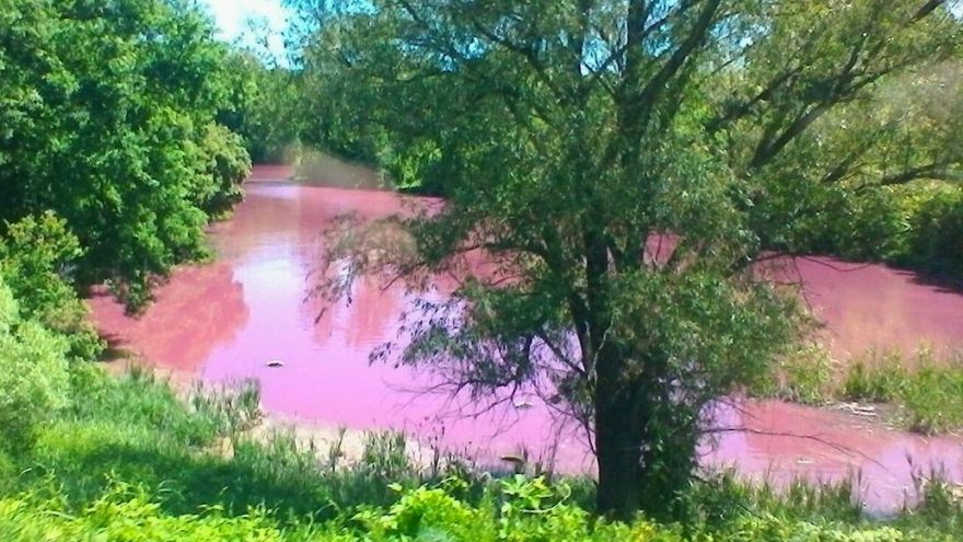 Эксперты рассказали о химическом составе пруда с розовой водой в Воронежской области