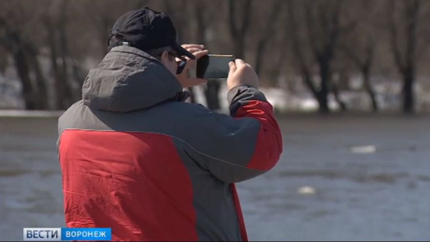 Воронежец снял эффектное видео ледохода на Дону