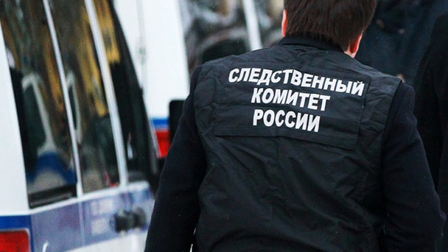 В Воронежской области дерево, упавшее на детскую площадку, убило ребёнка