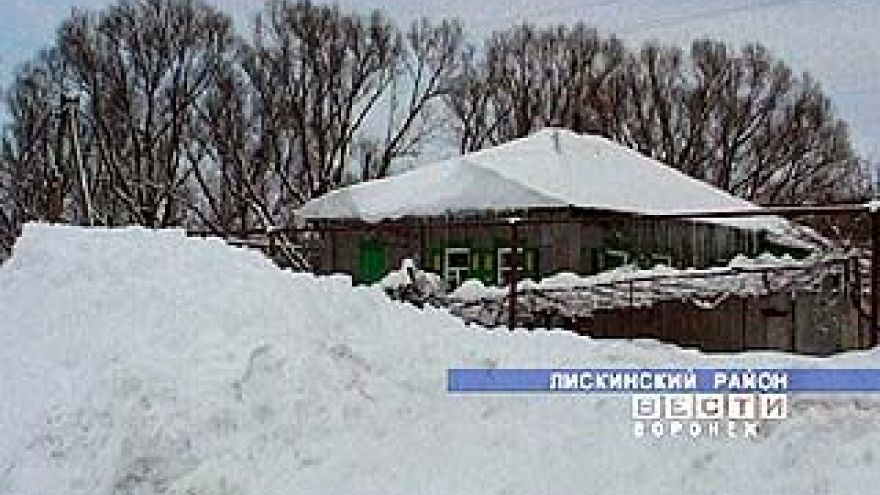 Лиски утопают в снегу