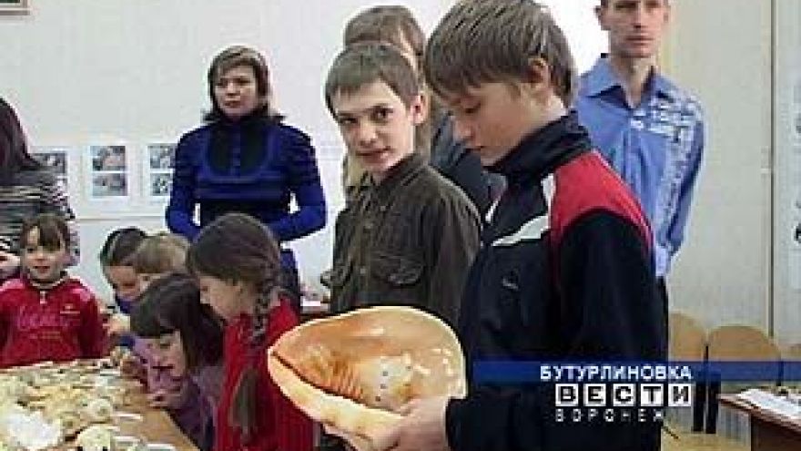 Жители Бутурлиновки всерьез занялись исследованием Каменной степи