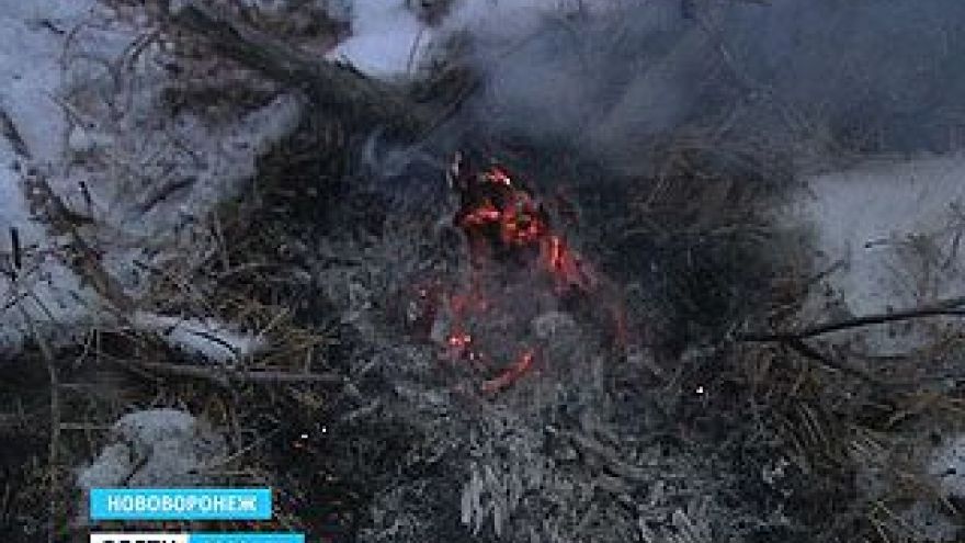 Лесники думают, как разгадать загадку природы - лесная подстилка горит под снегом