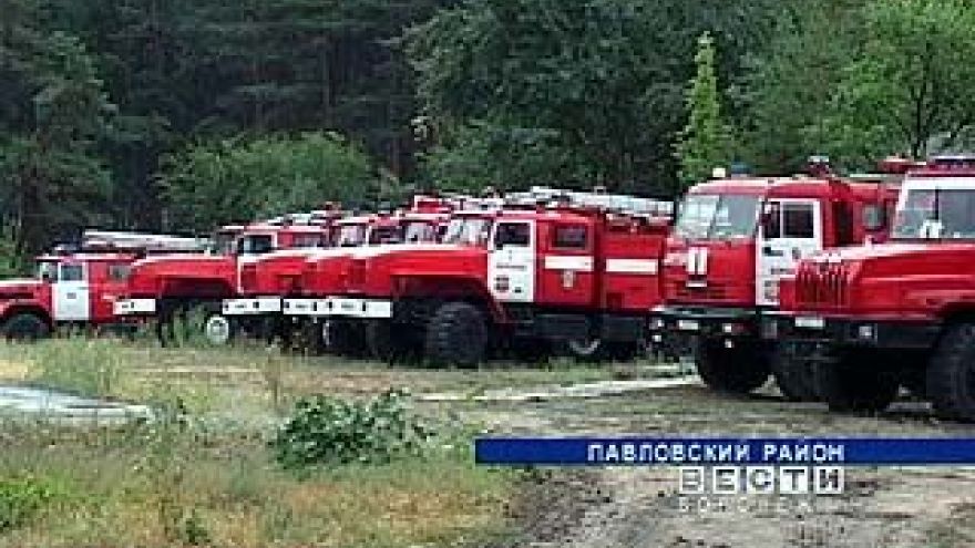 В Павловске до сих пор сохраняется сложная пожароопасная ситуация