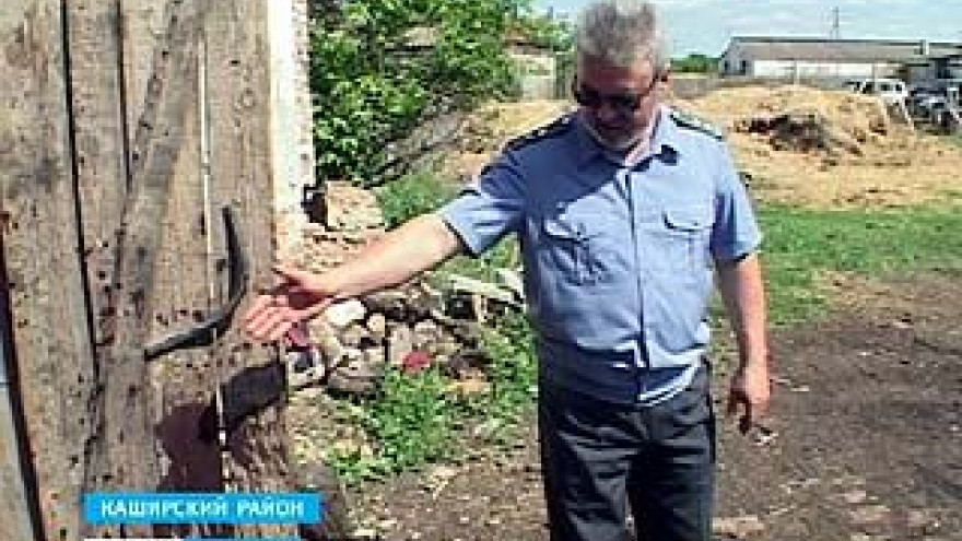 Против руководителя Каширского свиноводческого хозяйства возбуждено дело