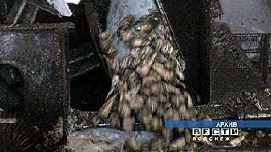 Воронежская область заняла 2-ое место в свеклоуборочной кампании