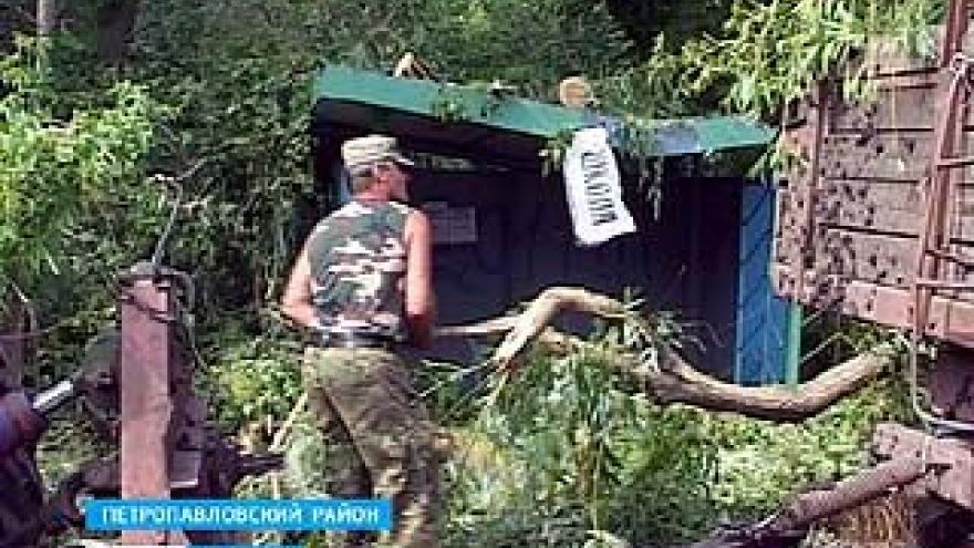 В Богучарском районе от урагана пострадали два человека
