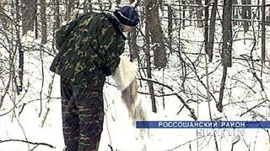 Тишанские охотники разводят кабанов и оленей