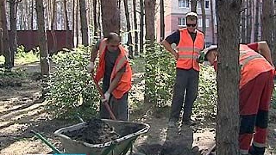 В Северном ликвидировали несанкционированное кладбище бездомных собак