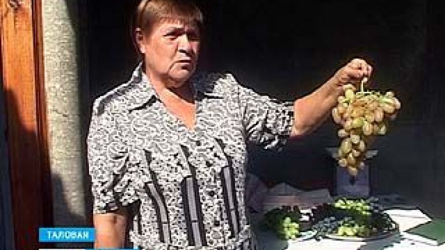 Жительница Таловой обрела интерес к жизни с помощью винограда