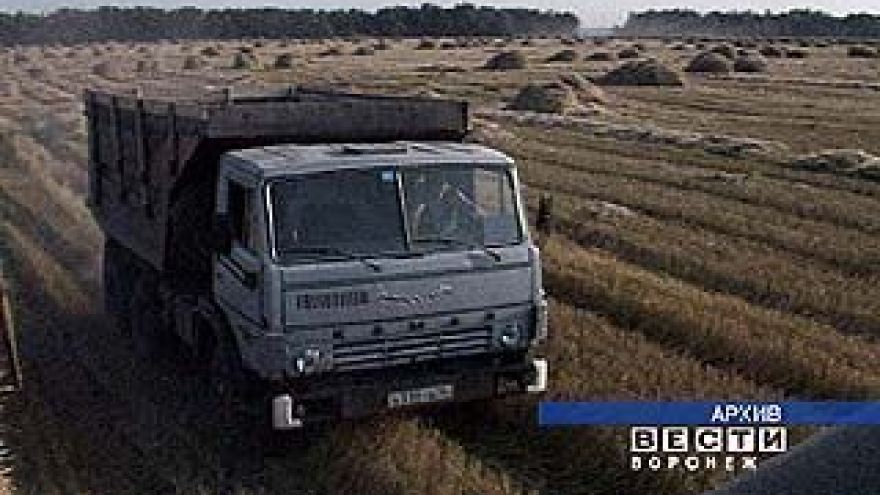 Хозяйства приступают к жатве