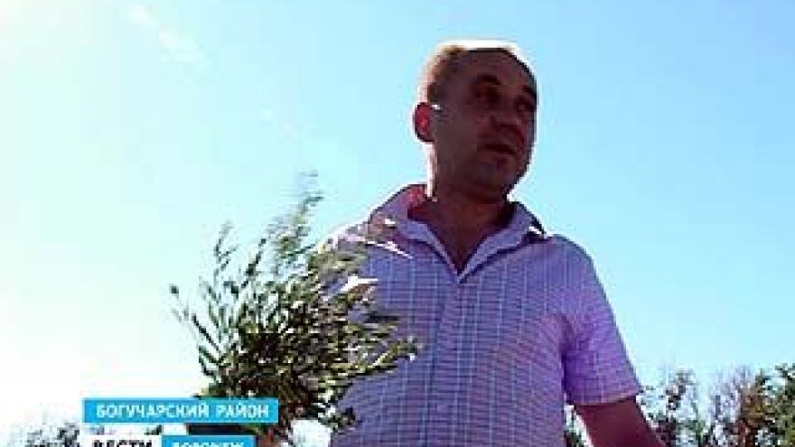 Воронежский агроном объявил войну пока непобедимому врагу - горчаку