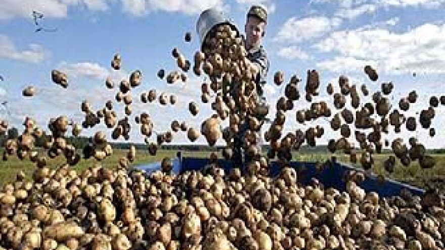 Жителей посёлка Зеленый Гай обеспечили картошкой