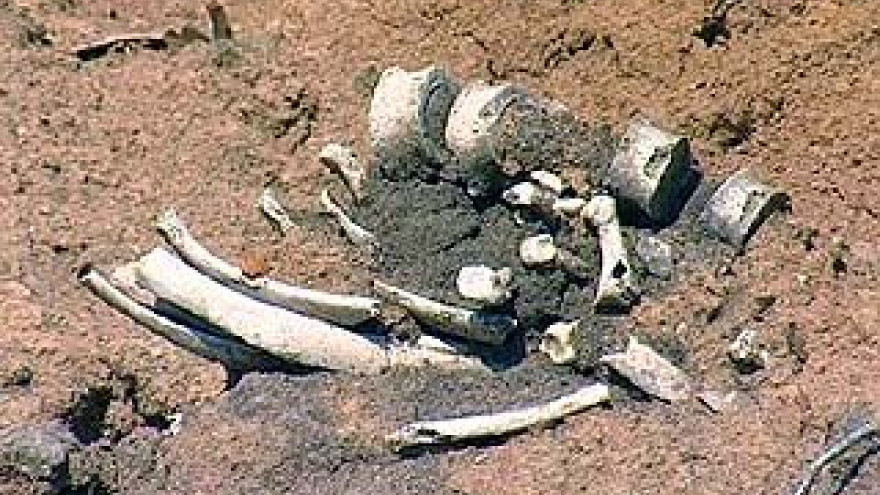 История обнаружения человеческих останков получила новый поворот