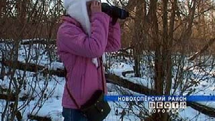 В Хопёрском заповеднике анализируют отпечатки лап
