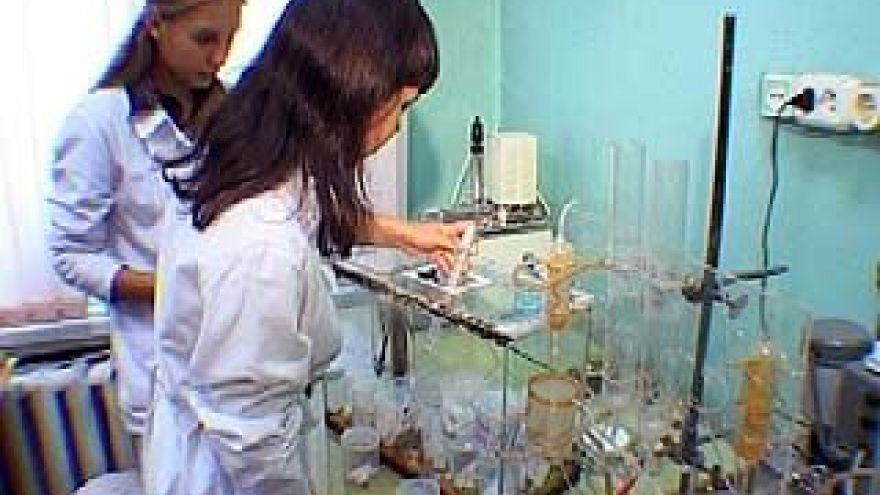 Тараканы из Воронежа побывали в условиях невесомости