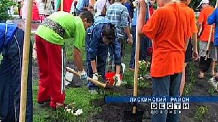 В Лискинском районе появилась розовая аллея