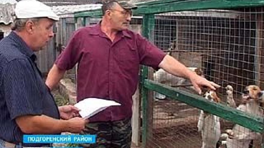 Анатолий Кудинов более 10 лет занимается разведением русских пегих