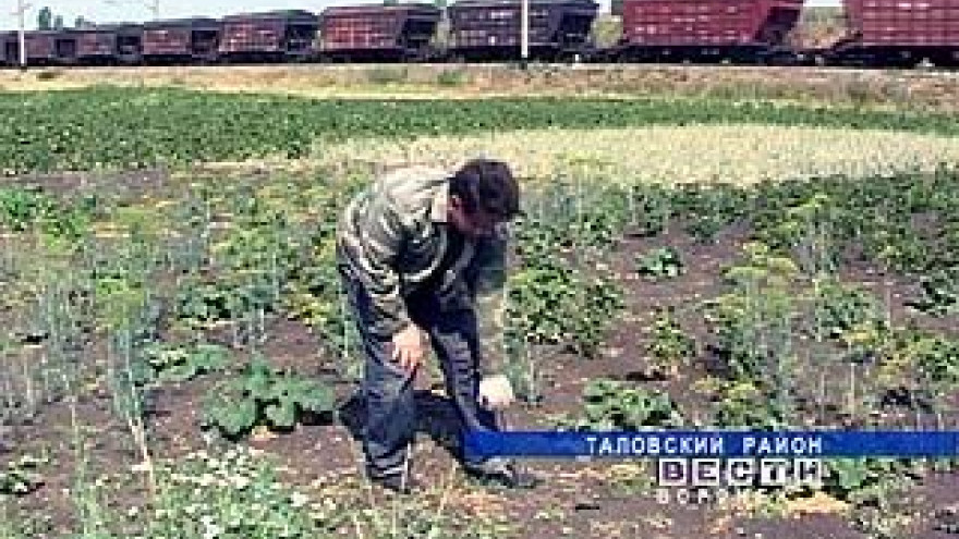 Память бойцов, погибших в железнодорожной катастрофе в 1942 году, увековечат в Таловой