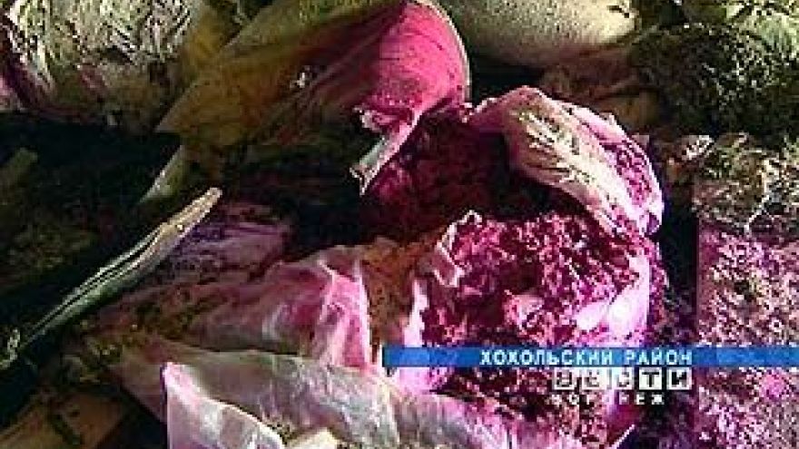 4 года понадобится чтобы очистить регион от экологически опасной химии