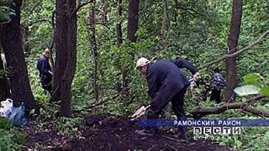 Совместными усилиями поисковики обнаружили останки почти 100 советских солдат