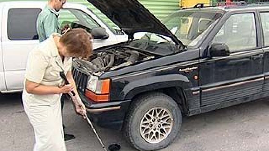 Россельхознадзор проверяет все автомобили, въезжающие в область
