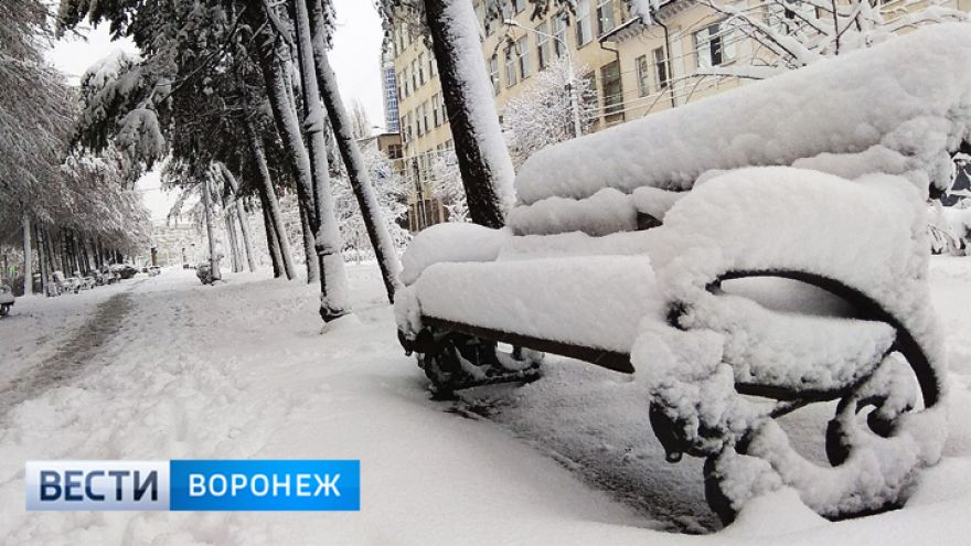 Синоптики рассказали, где больше всего снега выпало в Воронежской области