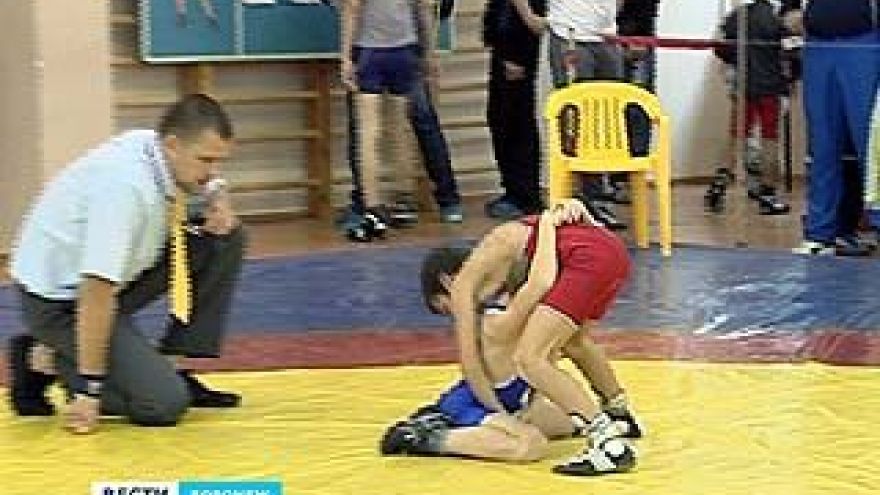 В Воронеже прошел турнир по греко-римской борьбе
