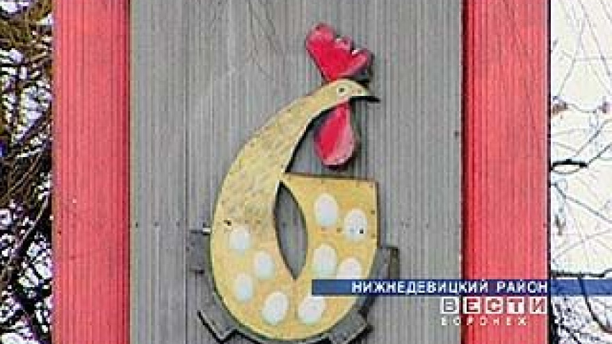 Экономические трудности птицефабрика преодолевает вместе со сменой формы собственности