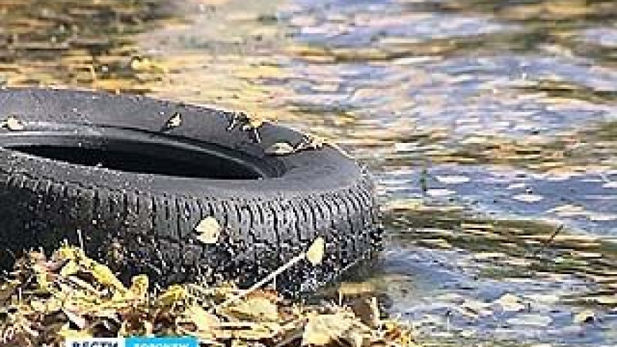 Как очистить Воронежское водохранилище?