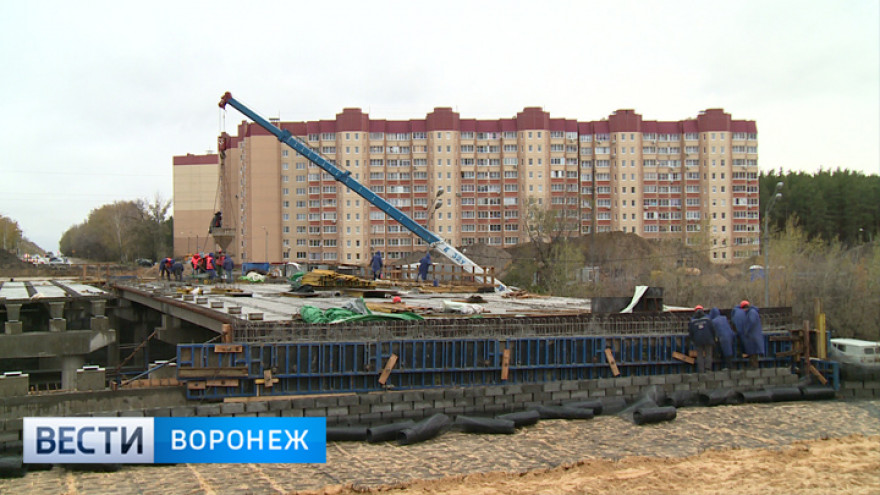 Путепровод на улице 9 Января в Воронеже откроют для пешеходов 14 декабря