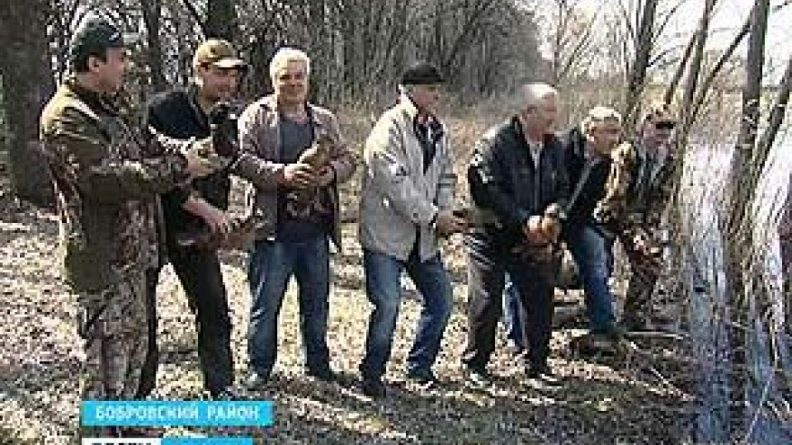 В Бобровском районе охотхозяйство закупило уток и выпустило в дикую природу