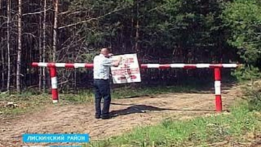 Посещение гражданами лесных массивов, расположенных в границах городского округа, запрещено