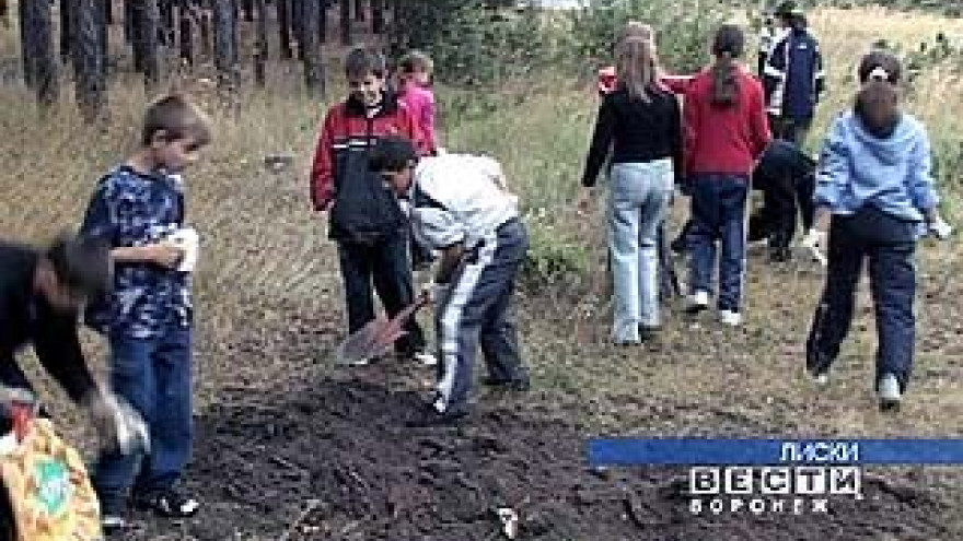 В Воронеже стартует акция "Марш парков"
