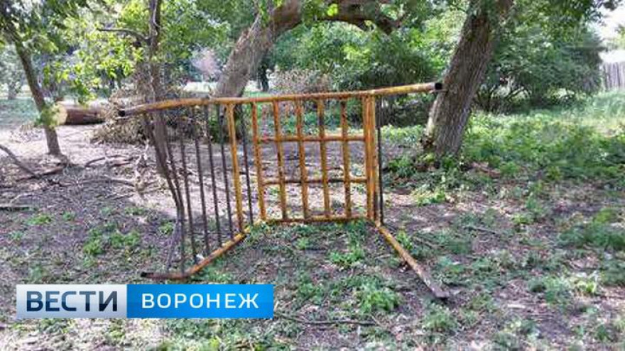 Воронежский СК возбудил уголовное дело после смерти ребёнка от полученных в парке травм