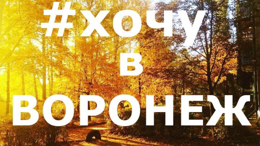 30 лучших фото воронежцев из соцсетей за неделю