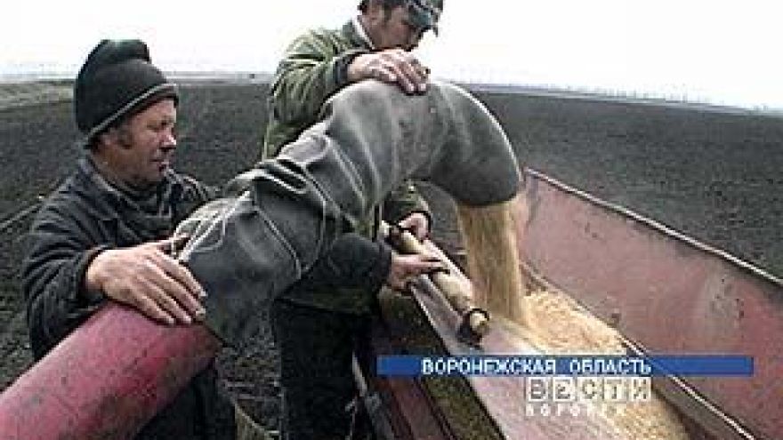 Воронежские аграрии готовятся к севу озимых