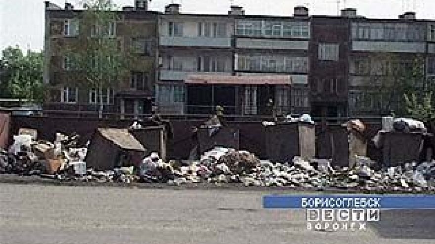 Заваленные отходами помойки - типичная картина для Борисоглебска
