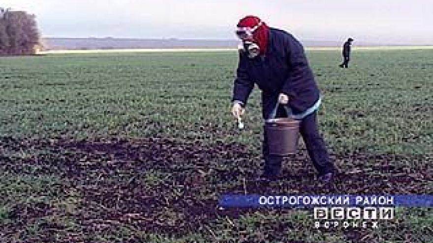 Грызунам объявлена война