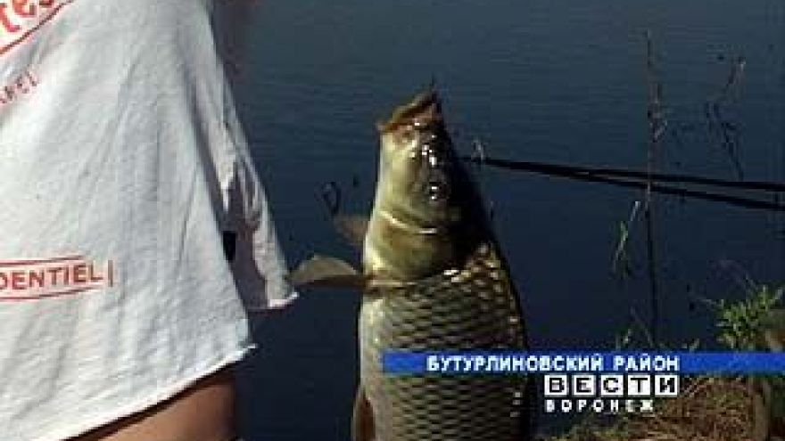 В Нововоронеже соревновались рыбаки со всей России