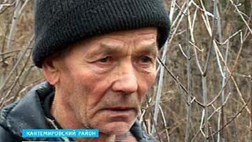 Кантемировский пенсионер, срубивший 5 деревьев, стал жертвой показательного процесса