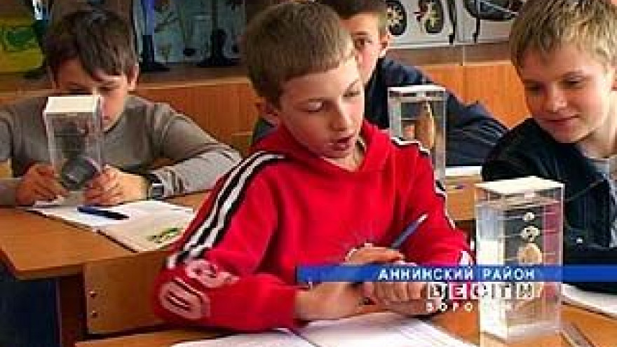 День образования отмечают в Воронежской области